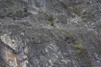 
DSC00167